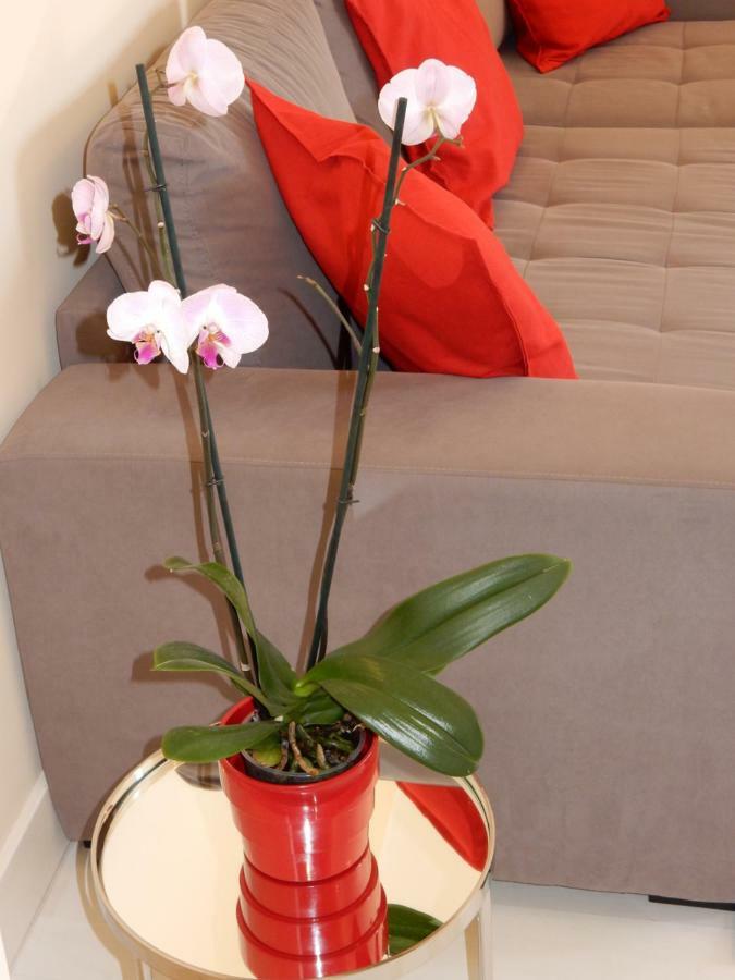 Beach & Sea Apt, Fast Wifi, Airco, Private Parking And Pool Portimao Ngoại thất bức ảnh